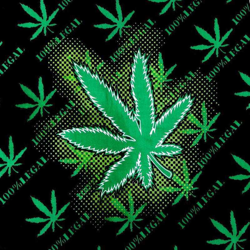 Bandana Rasta Chanvre 100 % legal | Rasta Lion