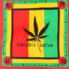 Bandana Rasta sativa | Rasta-Lion